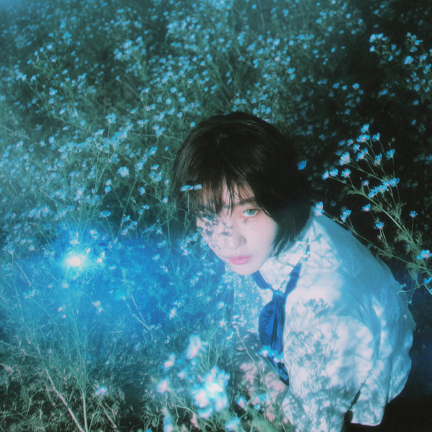Image Cover